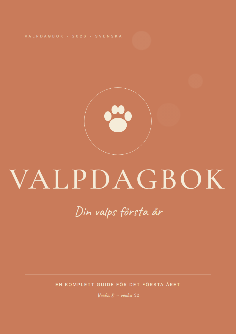 Valpdagbok — följ valpens viktkurva
