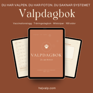valpdagbok-dagbok-valps-forsta-ar-52-veckor-pdf.png