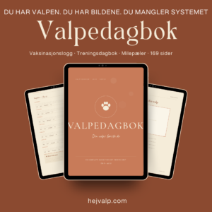 Valpedagbok — Din valps første år