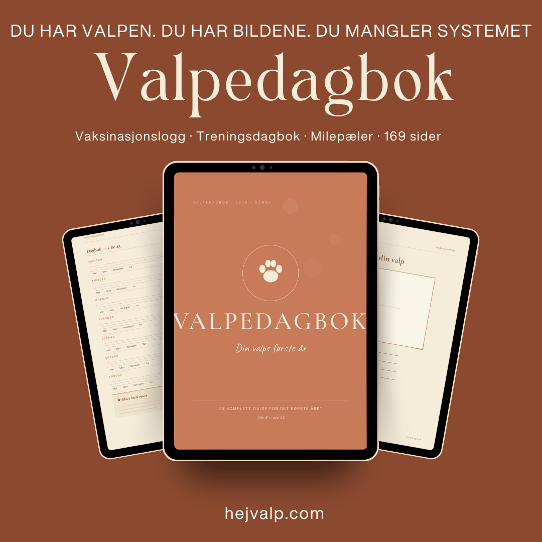 Valpedagbok — Din valps første år 52 uker PDF